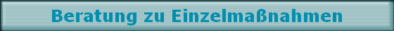 Beratung zu Einzelmanahmen
